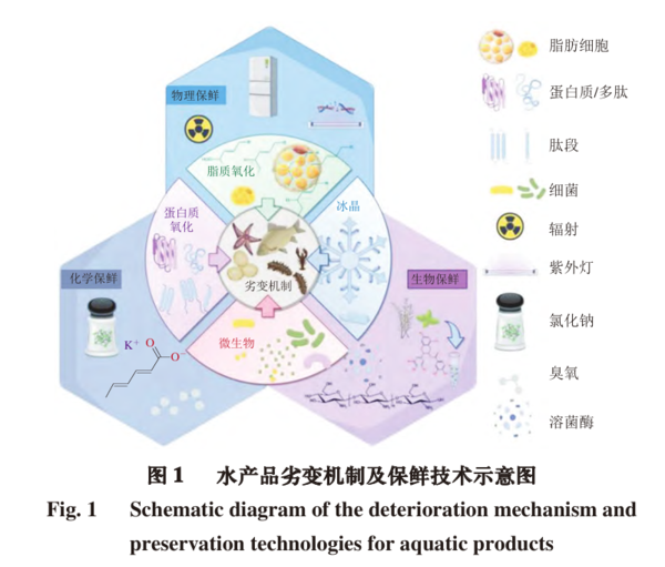 微信图片_20250328113804.png